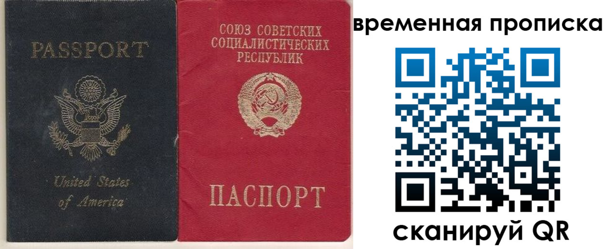 прописка для школы в Яранске